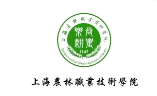 【大学图鉴】上海高校合集