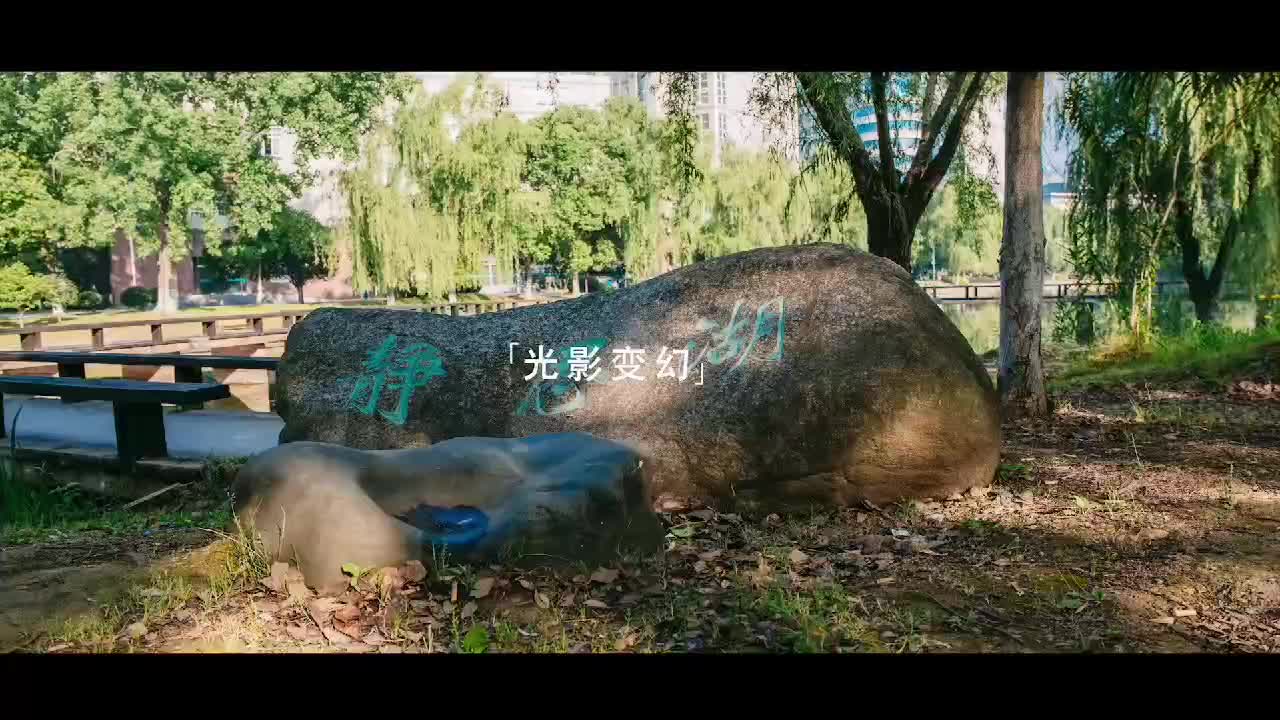 【大学图鉴】湖北高校合集